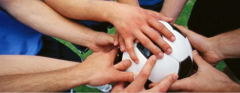 New Division Committee Appointments